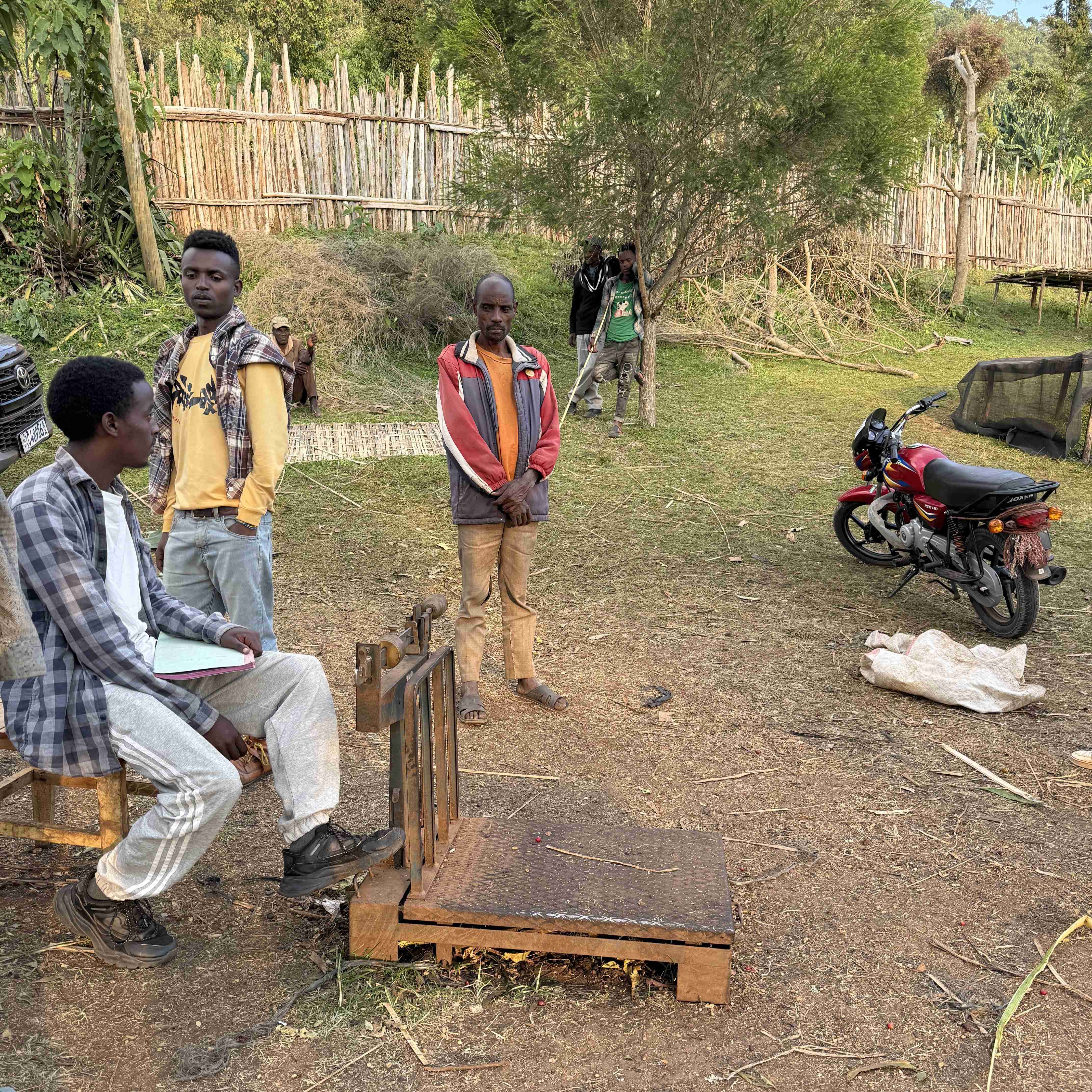 Ethiopia Shantawene Lot.Sep Natural(24/25年クロップ) | ORIGIN